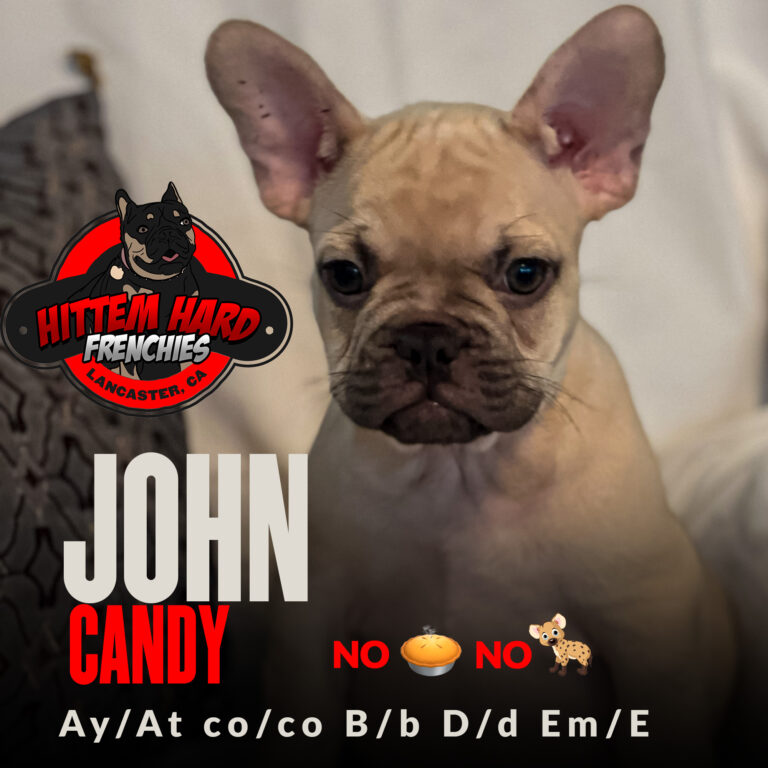 John Candy